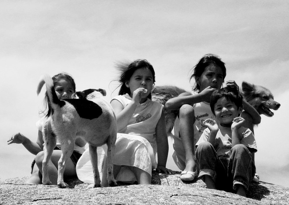 "de niños y perros" de Viviana García