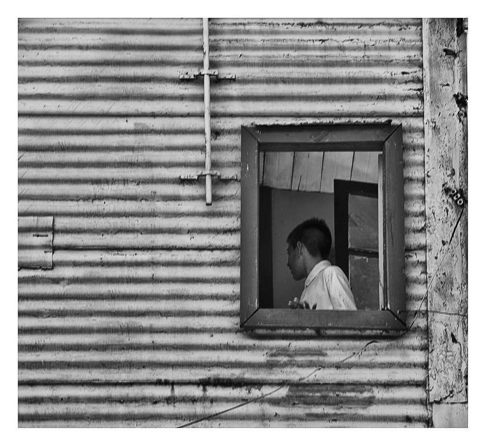 "En su ventana" de Analia Coccolo