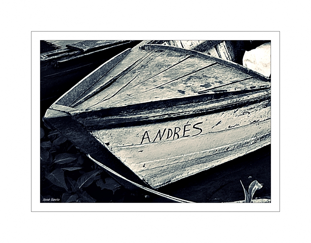 "ANDRS." de Jos Savio