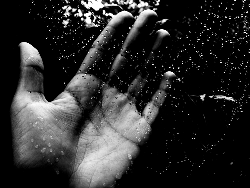 "Meciendo a la lluvia" de Pamela Gonzlez