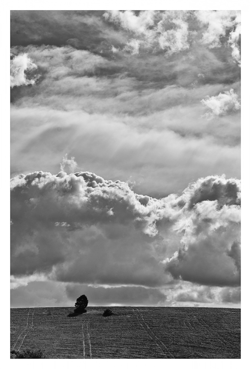 "Solitos entre las nubes" de Analia Coccolo