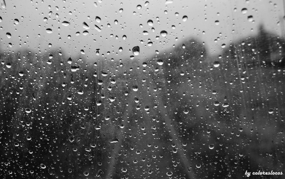 "Un viernes gris lluvioso" de Julio Cesar Perez