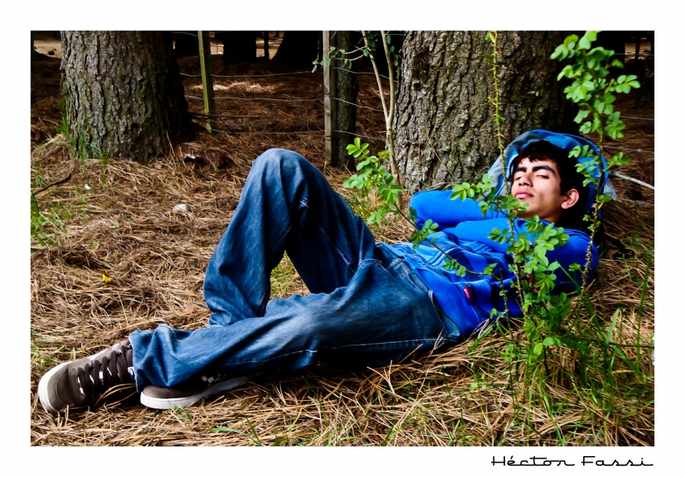 "Siesta en el Bosque" de Hctor Fassi