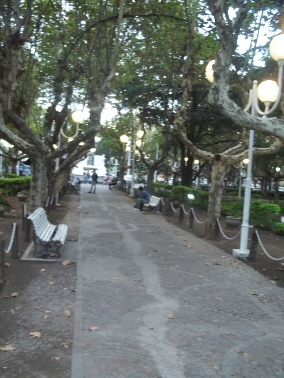 "Plaza" de Guillermo Adaro