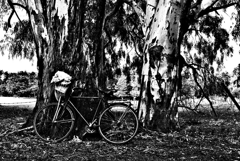 "La bicicleta de Emilio." de Felipe Martnez Prez