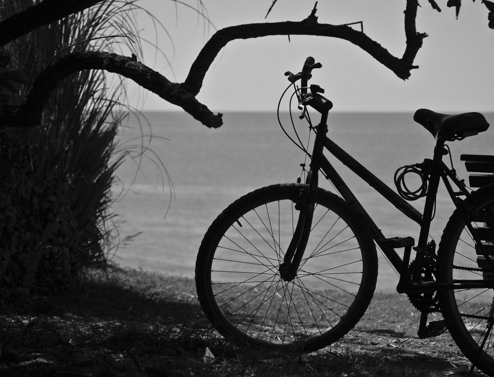 "Bici con coronita" de Enrique Handelsman