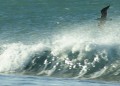 Flysurf en Magalles
