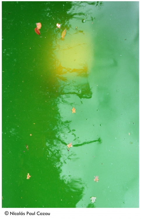 "Artaud en el agua" de Nicolas Paul Cazau