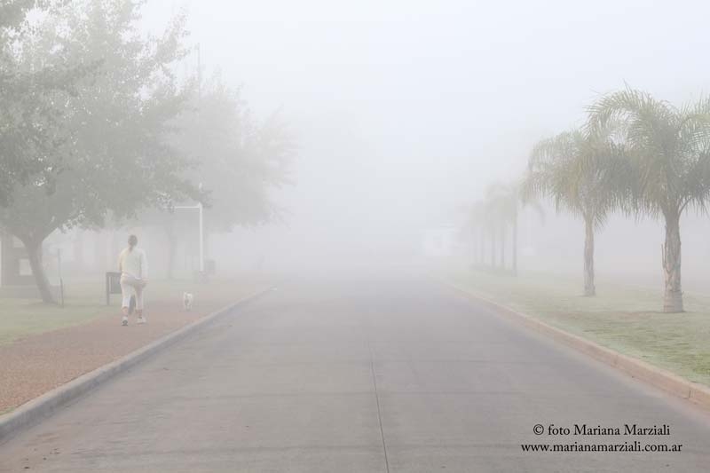 "Perdindose en la niebla" de Mariana Marziali