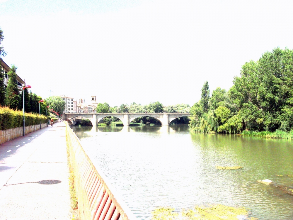 "Puente de piedra y ro Ebro" de Rosa Mara Olivn