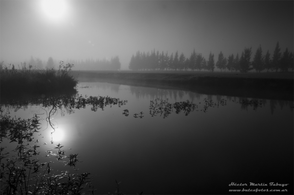 "Maana con niebla" de Hctor Martn Tabuyo