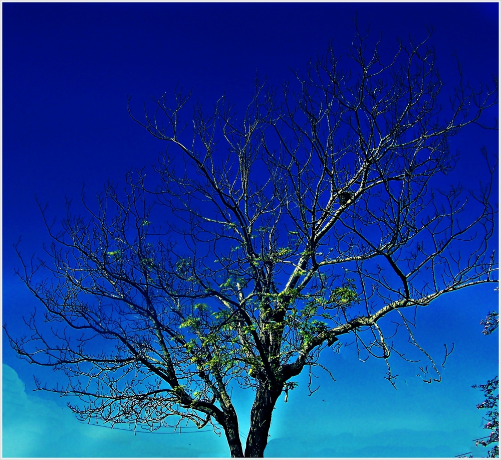 "Cielo Azulado" de Aymara Holotte