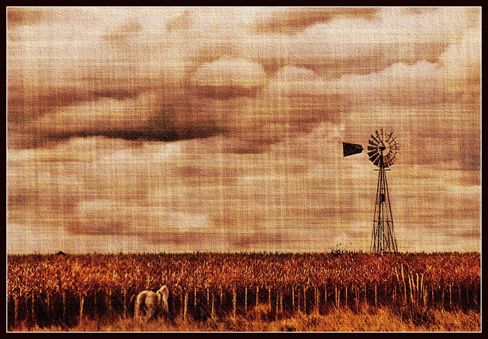 "Otoo rural" de Eli - Elisabet Ferrari