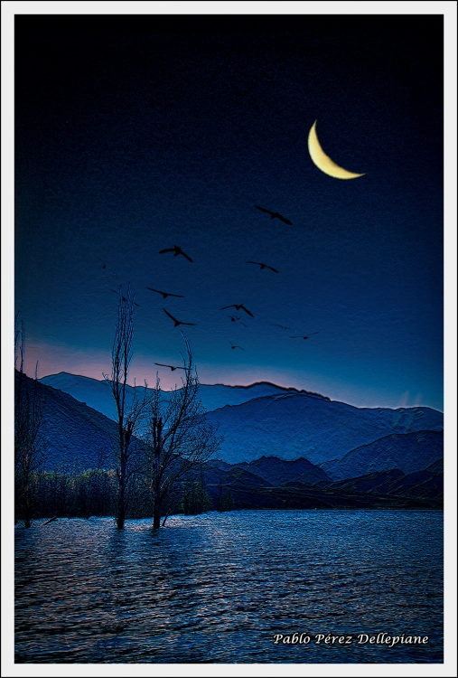 "Noche azul" de Pablo Perez Dellepiane
