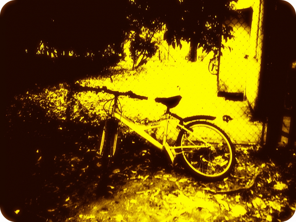 "bicicleta de escuela" de Viviana Garca