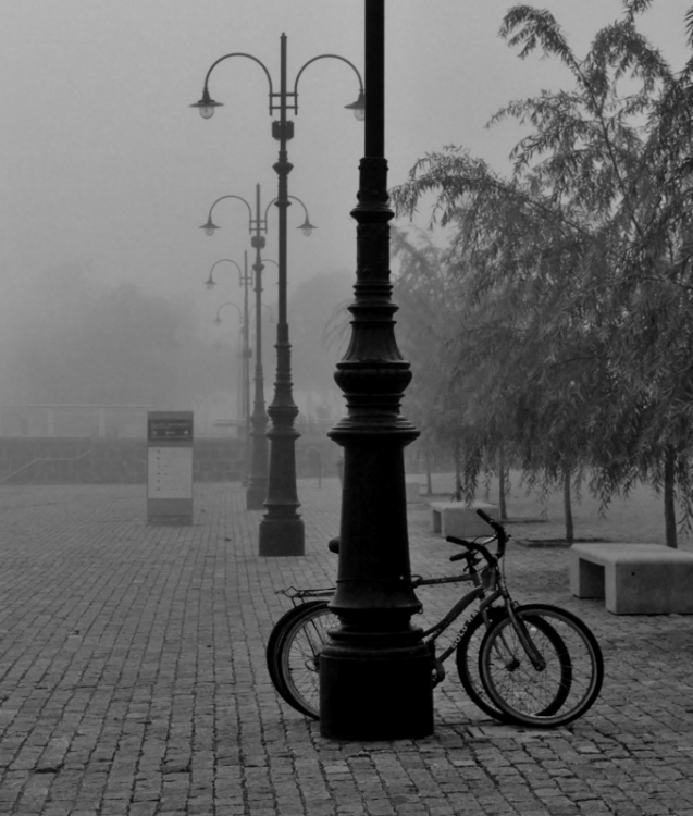 "Calma chicha y niebla..." de Hctor Rodrguez Cacheiro