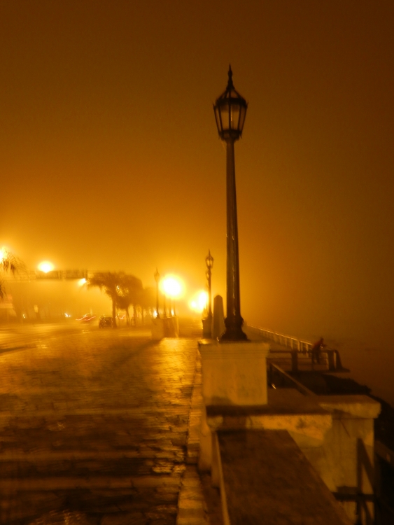 "Neblina en la ciudad" de Monica Marinaro