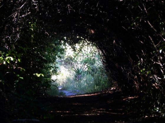 "El tunel" de Arturo H. Pea