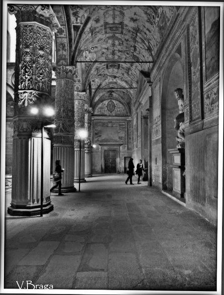 "Palazzo Vecchio" de Viviana Braga