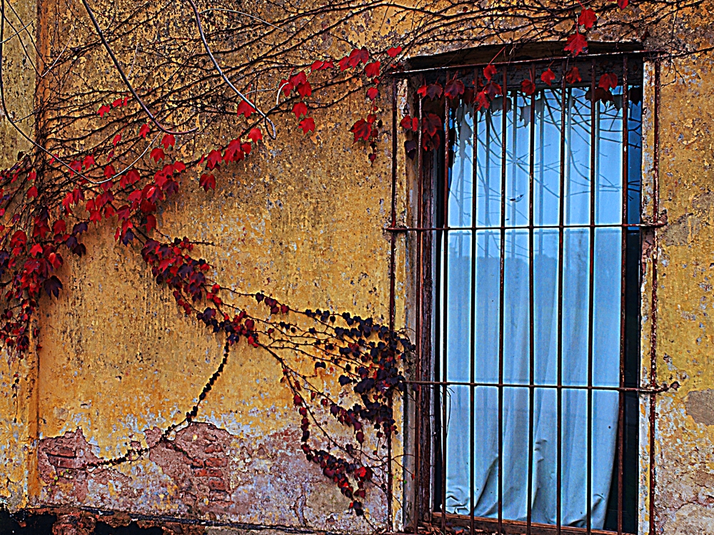 "Vieja ventana" de Roberto Bernabitti