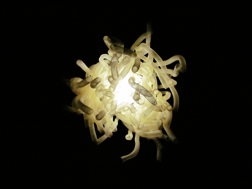 "medusa" de Leonardo Bertolino