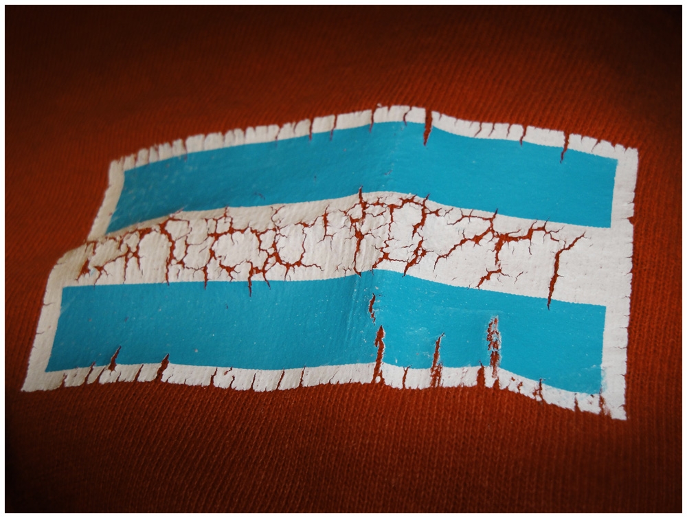 "la bandera que un da" de Nicolas Paul Cazau