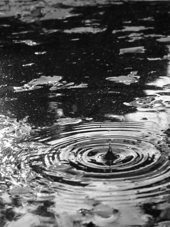 "Sencillamente, una gota de agua" de Mara Macarena Gonzalez