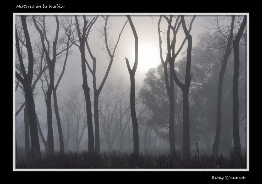 "Misterio en la Niebla" de Ricky Kimmich