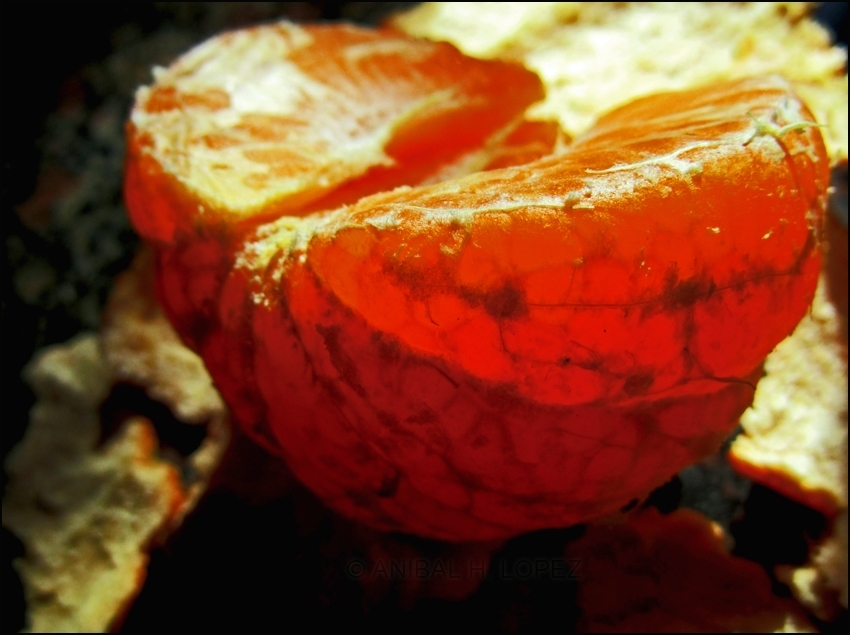 "mandarina" de Anbal H. Lpez