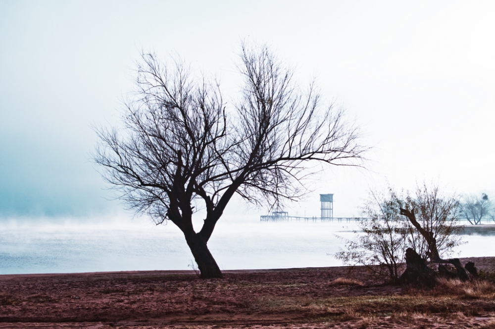 "Amaneci con niebla" de Ricardo H. Molinelli