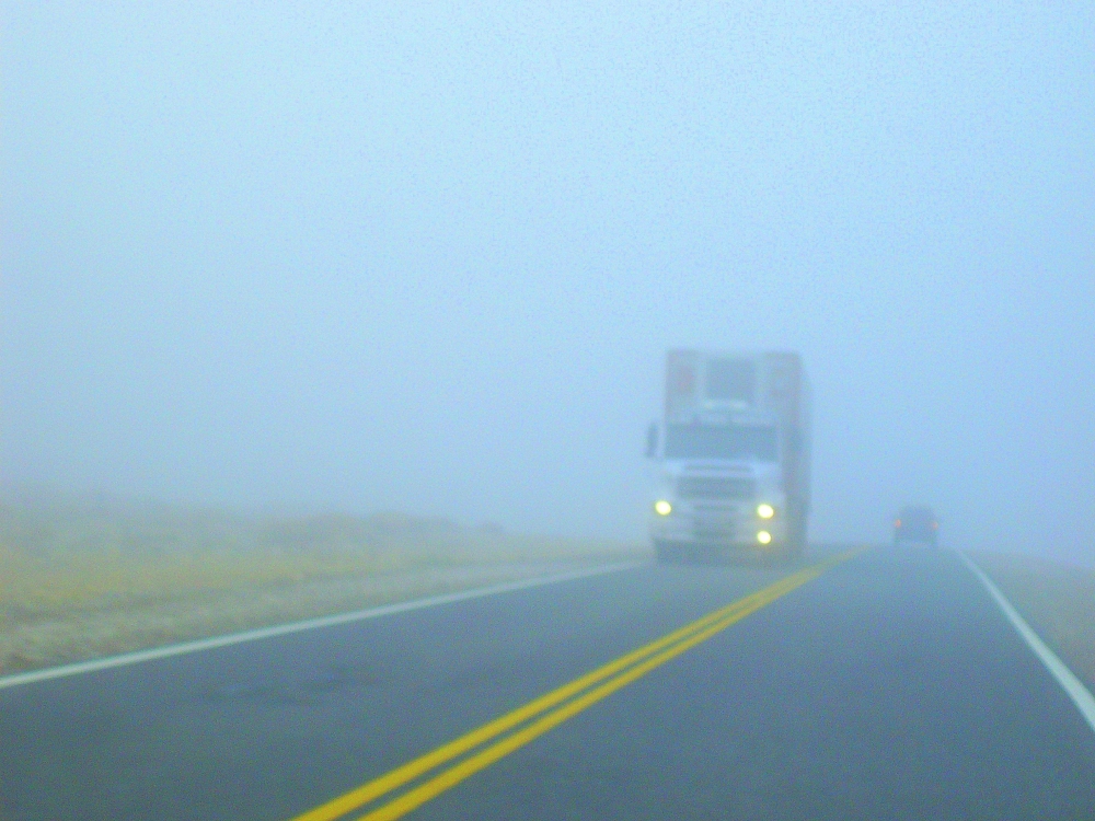 "Niebla en la ruta" de Oscar Alfredo Vazquez