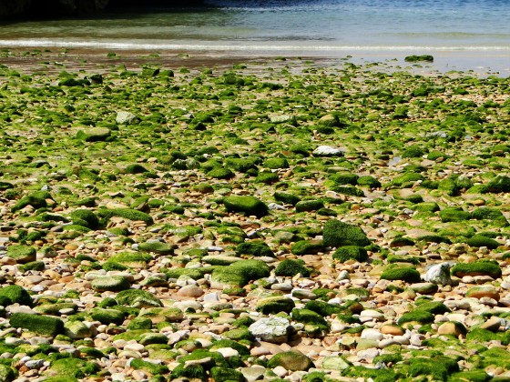 "Playa de piedras verdes!" de Cris Alija
