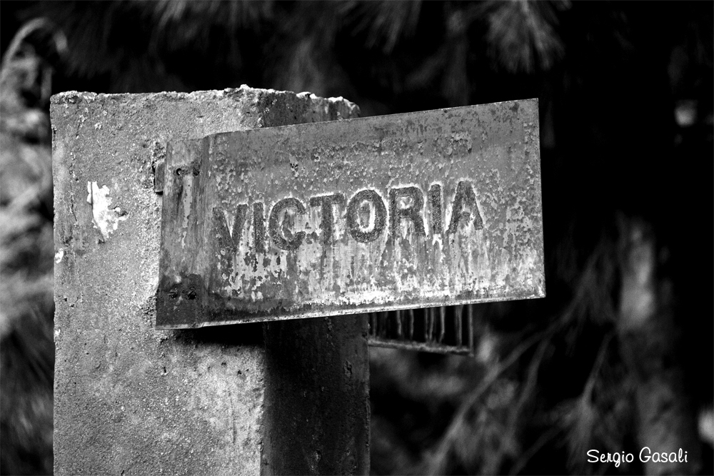 "Hasta la Victoria Siempre." de Sergio Gasali