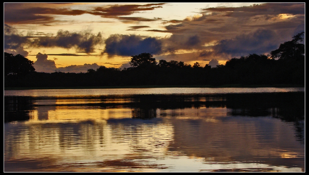 "Anochece en el Amazonas" de Silvia Beatriz Insaurralde (petalo)