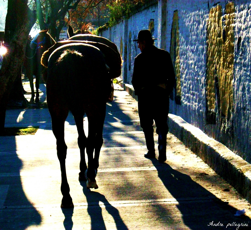 "Charla con mi caballo" de Andrea Pellegrini