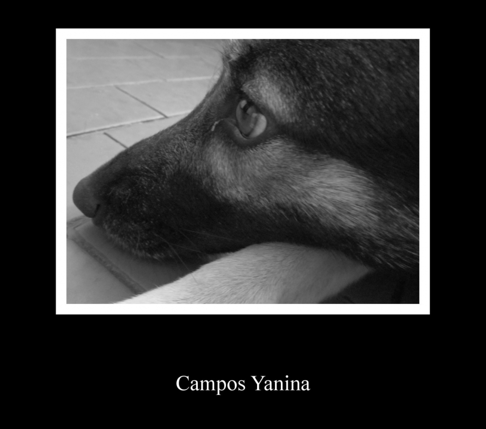 "Te extrao" de Yanina Campos
