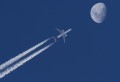 fly me to the moon ...