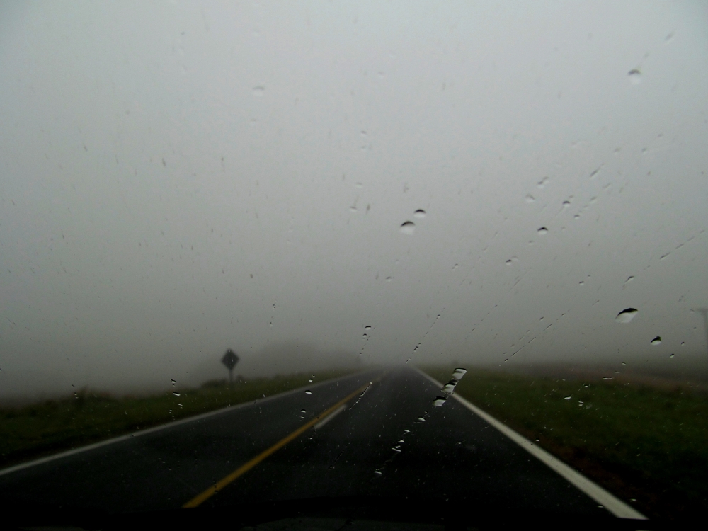 "fog on the way" de Carmen Nievas