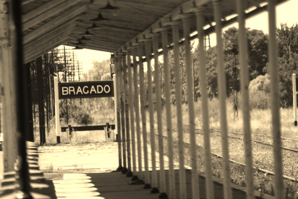 "Bragado" de Carlos Navarro