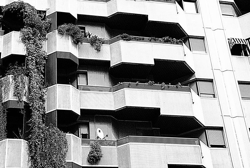 "Balcones y ventanas. LXXXIII." de Felipe Martnez Prez