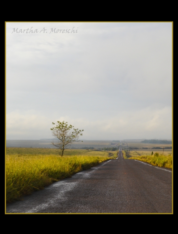 "En camino" de Martha A. Moreschi