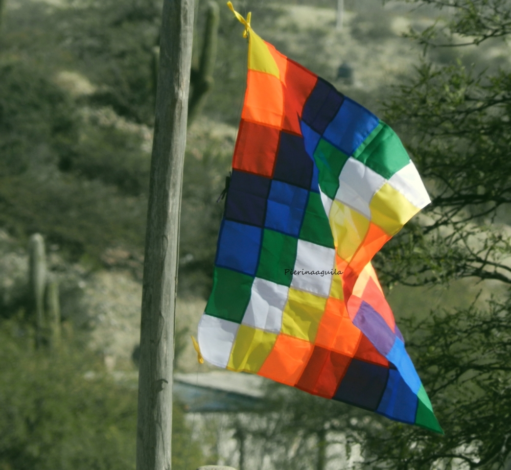 "Bandera de nuestros pueblos originarios" de Pierina Aguila