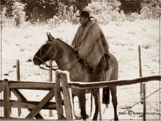 "Paisano de a caballo. Junin de los Andes" de Roberto Hugo