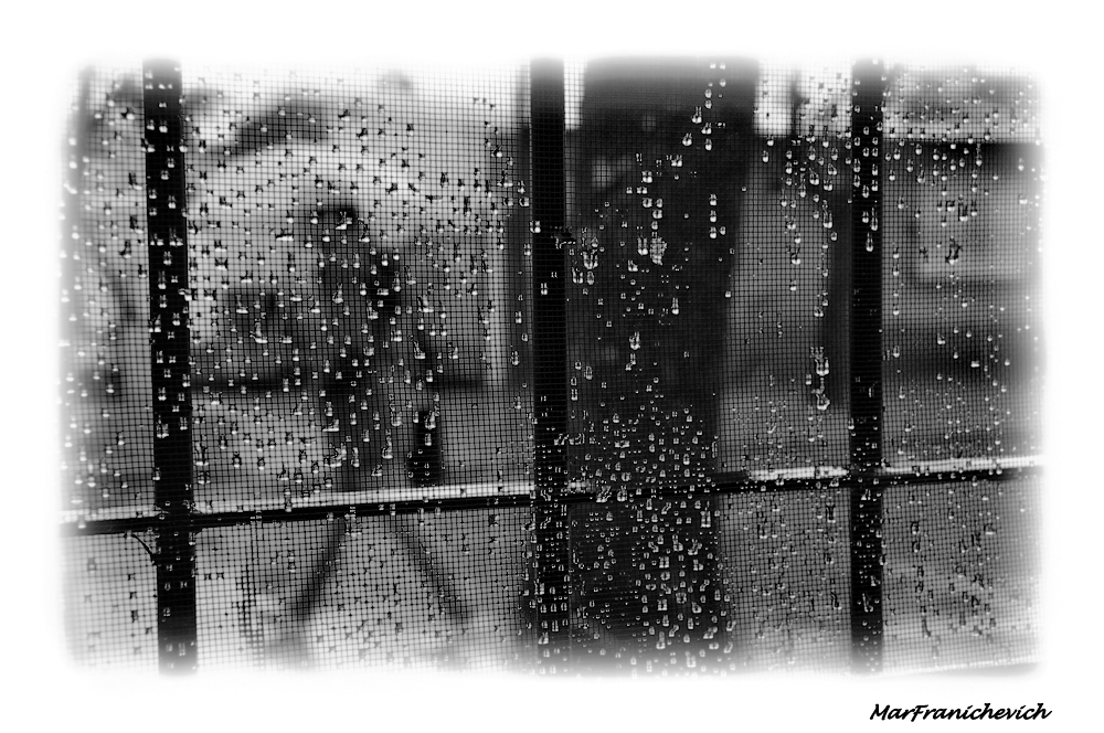 "Desde mi ventana..lluvia y algo ms" de Marcela Franichevich