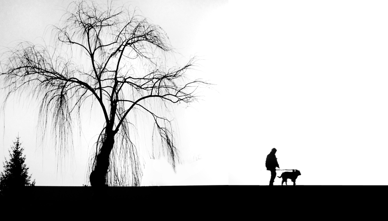 "Paseando el perro" de Antonio Perez Rodriguez