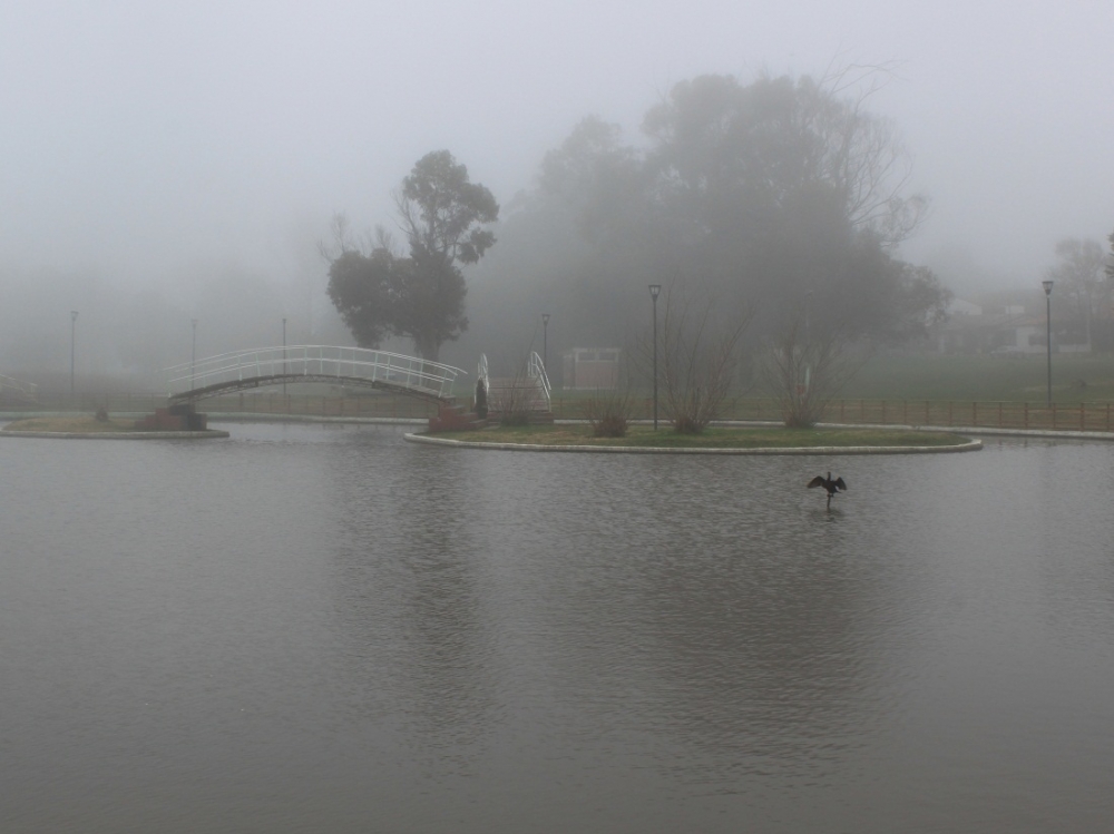 "Niebla en la laguna." de Roberto Velazquez