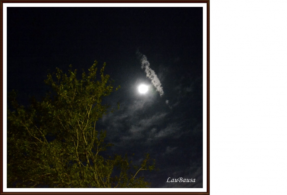 "Nube que cruzas la luna..." de Maria Laura Bausa