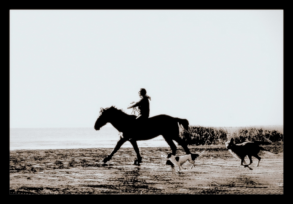 "del ro, caballo y perros" de Viviana Garca
