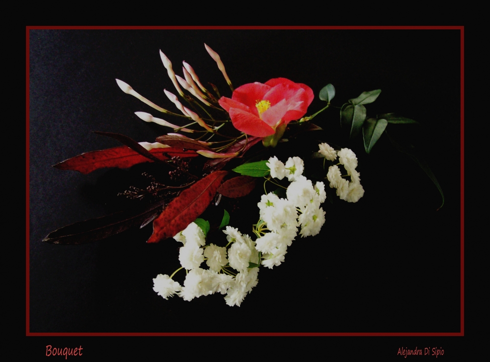 "Bouquet" de Alejandra Di Sipio