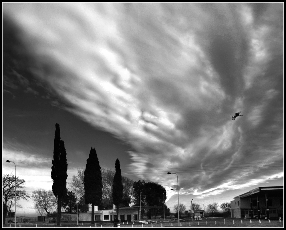 "Bajo esa nube" de Eli - Elisabet Ferrari